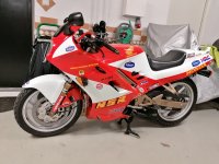 IMG_20201104_184530.jpg