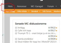 Hem.JPG
