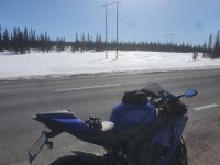 20210418_130121.jpg redigerad.jpg