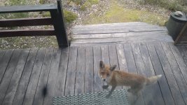DSC_1103.JPG