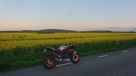 DSC_1867.JPG