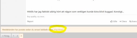 Skärmklipp.JPG