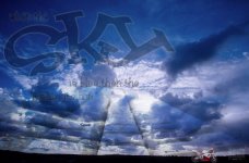 skysmetarn.jpg