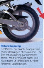 bak rebound.jpg