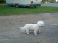 DSCF0005.JPG