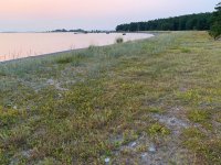 IMG_2792.JPG