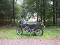 IMG_20210730_200714252.jpg