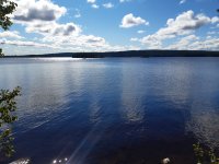 20210803_102940.jpg