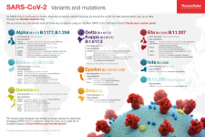 sars-cov-2-variants-mutations-poster.png