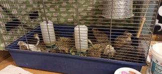IMG_20210621_220128.jpg