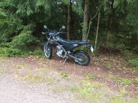 IMG_20210809_164548227.jpg