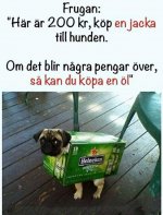 dog.jpg