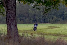 DSC_5614.jpg