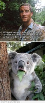 australia no 2.jpg
