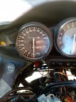 IMG_20211017_144952.jpg