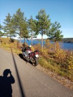 IMG_20211017_120341.jpg