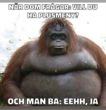 1637058392226.png