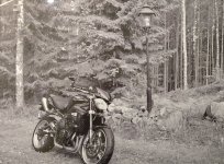 DSC_1922~2.jpg