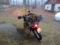 IMG_20220123_162041078.jpg