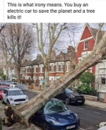 1646516942216.png