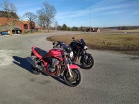 IMG_20220312_152328.jpg