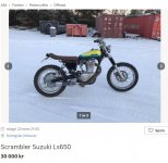savage 650.JPG