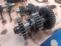 20220418_132128.jpg 20220418_132128.jpg