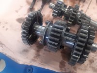 20220418_132133.jpg 20220418_132133.jpg