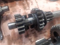 20220418_132138.jpg 20220418_132138.jpg