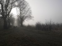 IMG_20220417_075453.jpg
