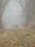 IMG_20220417_075210.jpg