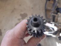 20220419_083710.jpg 20220419_083710.jpg