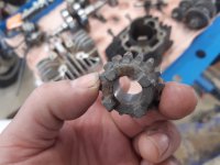 20220419_083839.jpg 20220419_083839.jpg