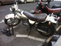 IMG_4385.jpg
