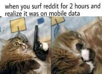 catiside.jpg