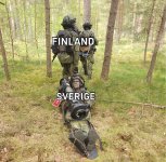 fin-swe.jpg