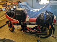 IMG_20220518_105919.jpg