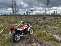 IMG_3266_2.jpg