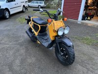 Zoomer_01.jpg