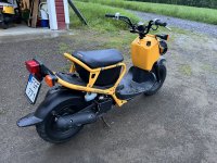 Zoomer_02.jpg