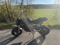 IMG_2116_1.jpeg