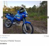 XT600Z.jpg