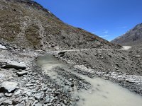 IMG_7342_2.jpg