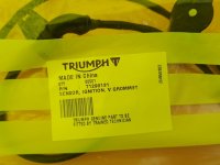 Made in China (2).jpg