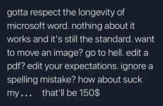 MS Word.jpg