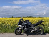IMG_2367.jpeg