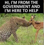 1663853217715.png