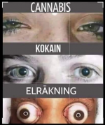 1664030729749.png