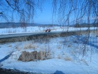IMG_0068.JPG