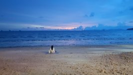 IMG_20220927_085420.jpg